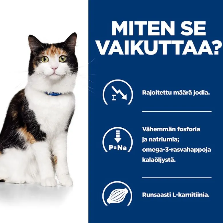 Hill´s Prescription Diet Feline y/d Thyroid Care Original