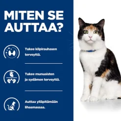 Hill´s Prescription Diet Feline y/d Thyroid Care Original