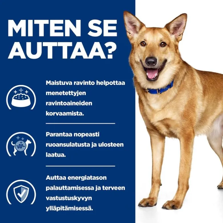 Hill's Prescription Diet i/d Digestive Care - kalkkuna