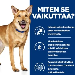 Hill's Prescription Diet i/d Digestive Care - kalkkuna
