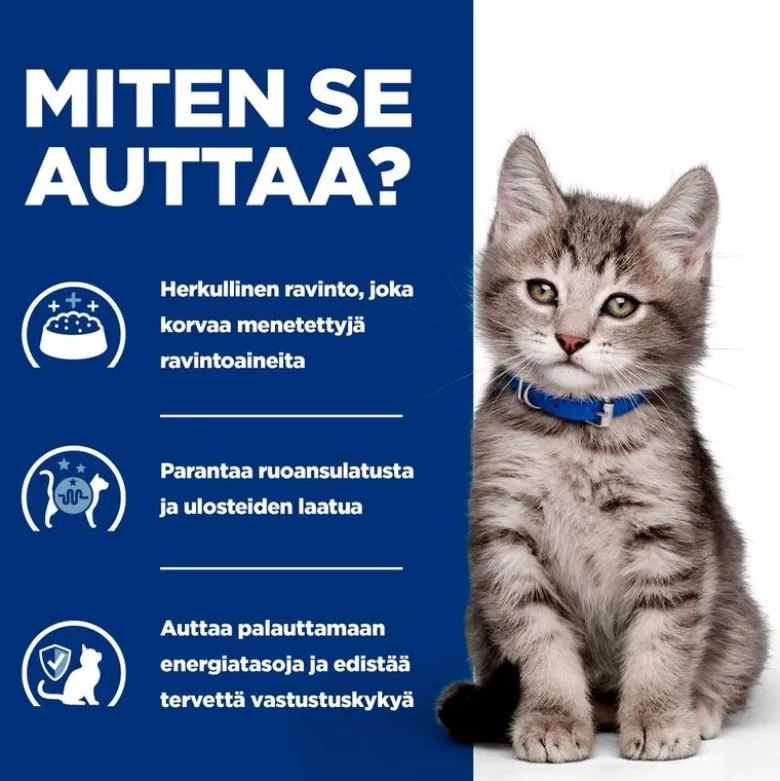 Hill's Prescription Diet i/d Digestive Care Kitten kana