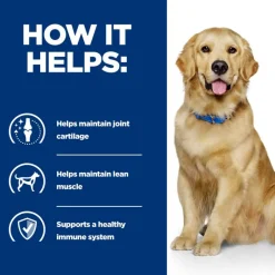 Hill´s Prescription Diet j/d Reduced Calorie Joint Care - kana