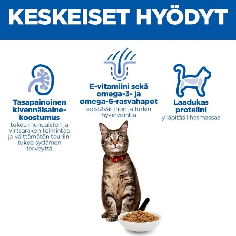 Hill's Science Plan Adult lammas ja riisi