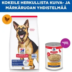 Hill's Science Plan Mature Adult 6+ Large kana