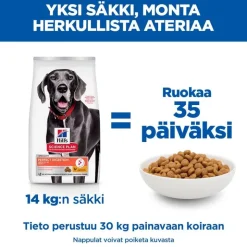 Hill's Science Plan Perfect Digestion Adult Large kana & ruskea riisi