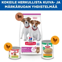Hill's Science Plan Puppy Small & Mini lammas & riisi