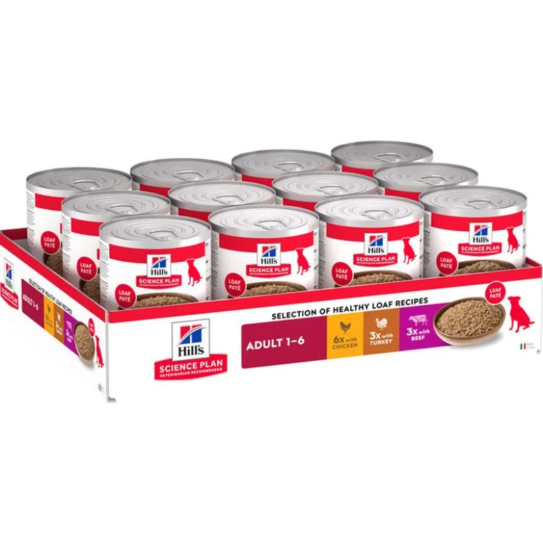Hill's Science Plan -säästöpakkaus 12 x 370 g