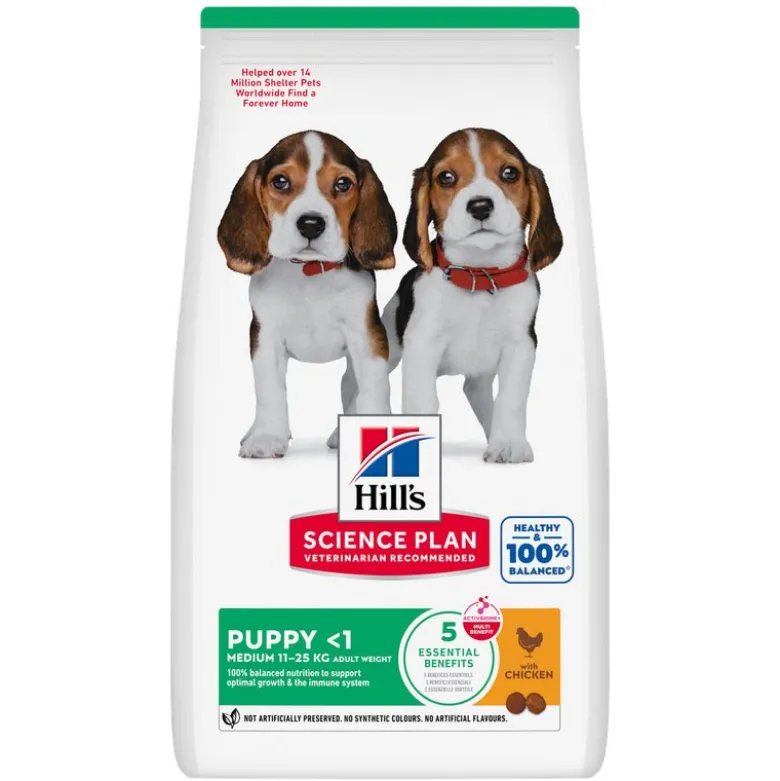Hill's Science Plan -säästöpakkaus: 2 x suuri pakkaus