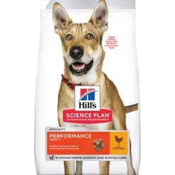 Hill's Science Plan -säästöpakkaus: 2 x suuri pakkaus