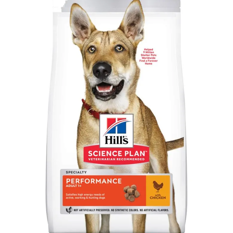 Hill's Science Plan -säästöpakkaus: 2 x suuri pakkaus