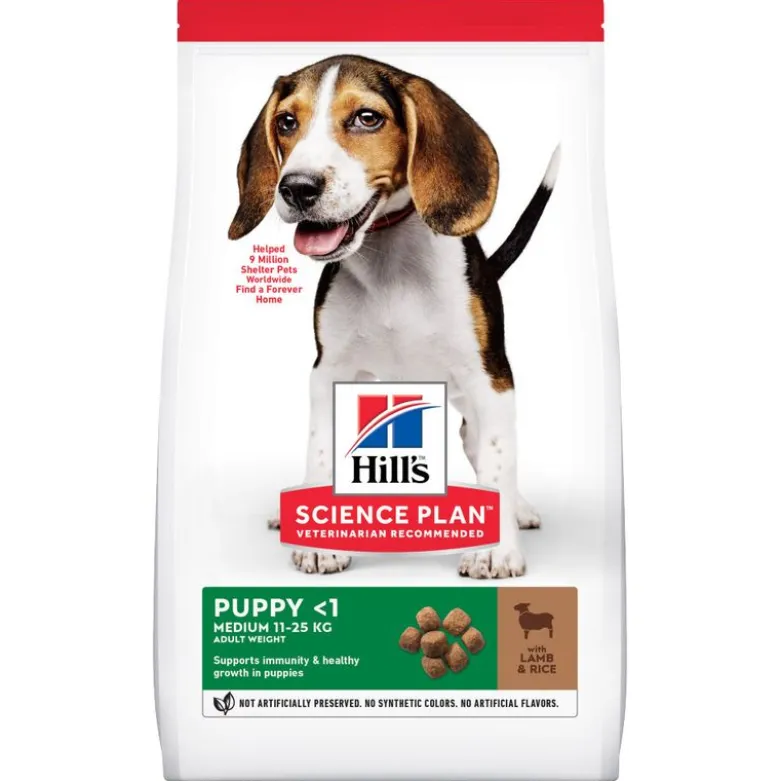 Hill's Science Plan -säästöpakkaus: 2 x suuri pakkaus