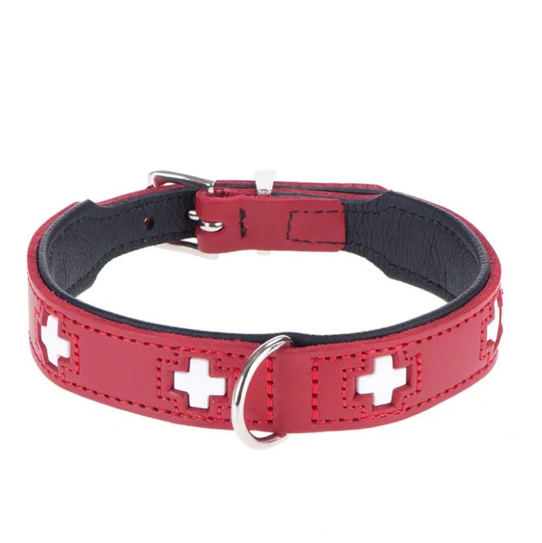 HUNTER Swiss: talutushihna & kaulapanta