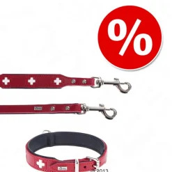 HUNTER Swiss: talutushihna & kaulapanta