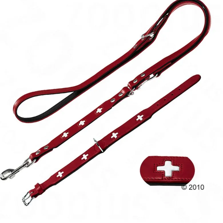 HUNTER Swiss: talutushihna & kaulapanta