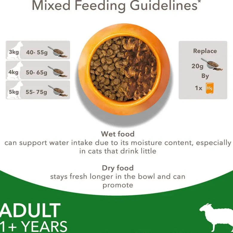 IAMS Advanced Nutrition Adult Cat with Lamb