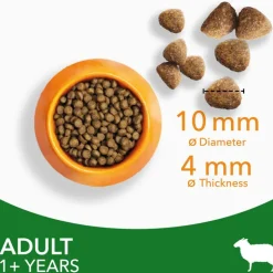 IAMS Advanced Nutrition Adult Cat with Lamb