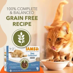 IAMS Advanced Nutrition Grain Free Sea Collection kastikkeessa, viljaton merikokoelma