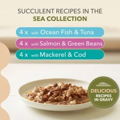 IAMS Advanced Nutrition Grain Free Sea Collection kastikkeessa, viljaton merikokoelma