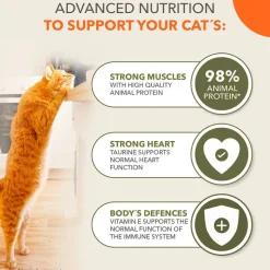 IAMS Advanced Nutrition Grain Free Sea Collection kastikkeessa, viljaton merikokoelma