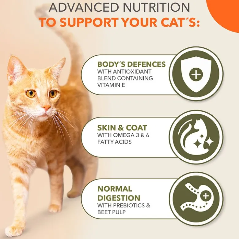 IAMS Advanced Nutrition Grain Free kana