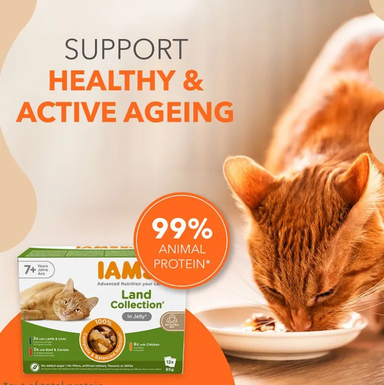 IAMS Advanced Nutrition Senior 7+ Land collection hyytelö