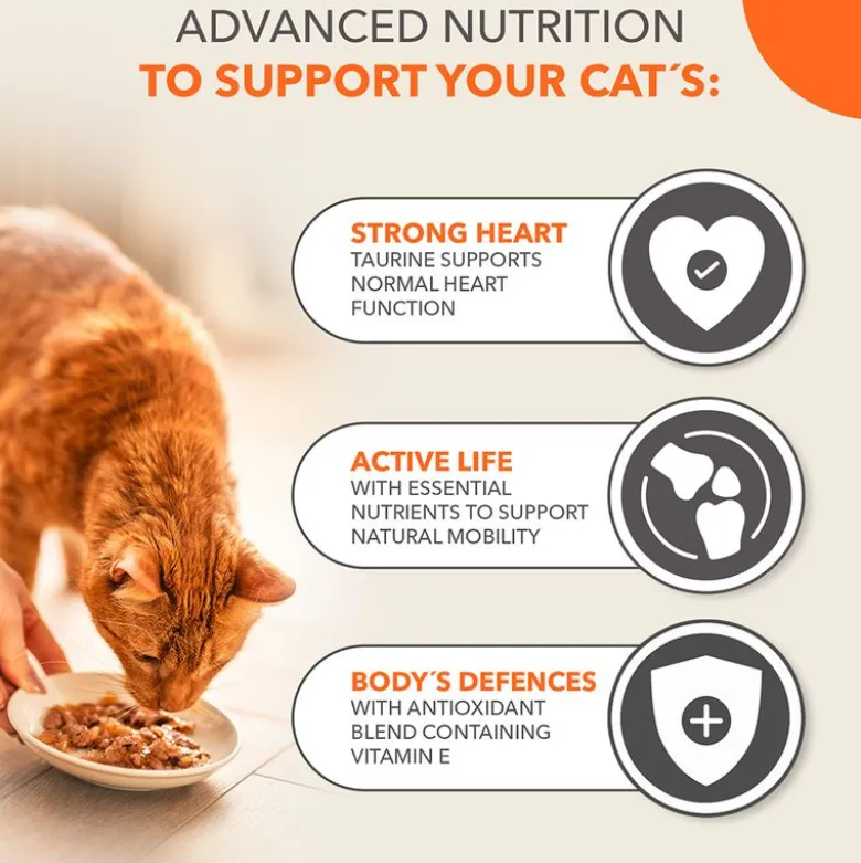 IAMS Advanced Nutrition Senior 7+ Land collection hyytelö