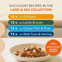 IAMS Advanced Nutrition Senior 7+ Land & Sea Collection hyytelössä