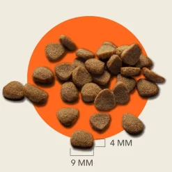 IAMS Advanced Nutrition Senior Cat 11+ kana