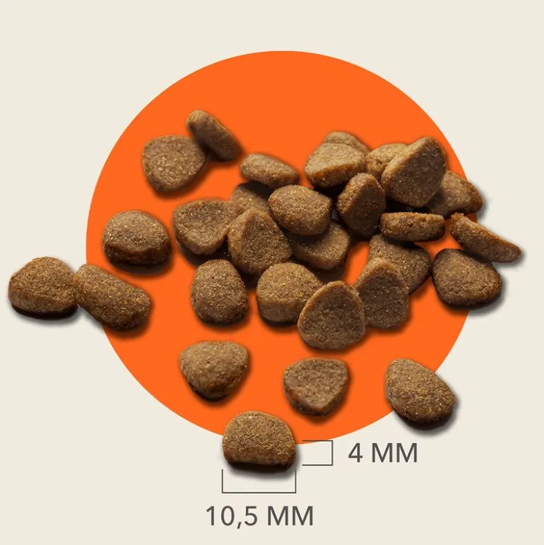 IAMS Advanced Nutrition Senior Cat 7+ tonnikala