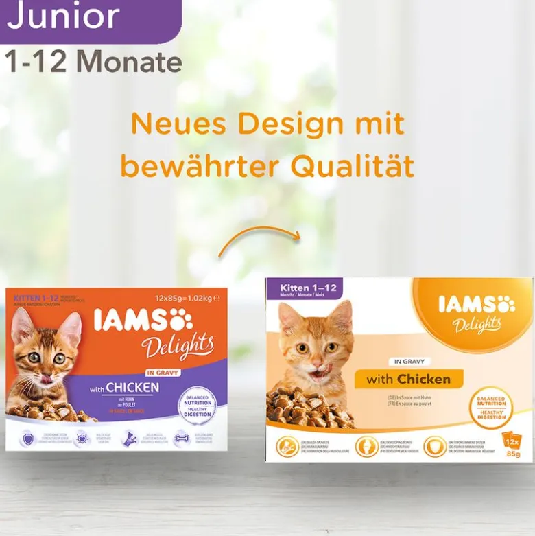 IAMS Delights Kitten in Sauce, kana