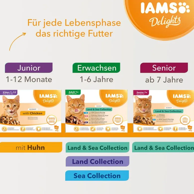IAMS Delights Kitten in Sauce, kana