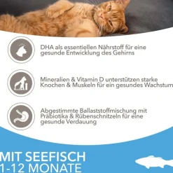 IAMS for Vitality Kitten merikala