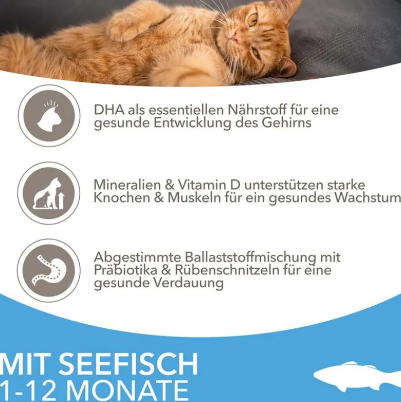 IAMS for Vitality Kitten merikala