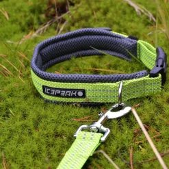 Icepeak Pet Grand X -kaulapanta, lime