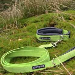 Icepeak Pet Grand X -kaulapanta, lime