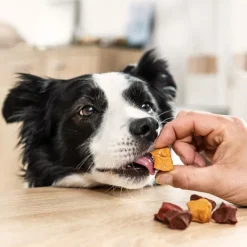 8in1 Flavours Skewer Bites
