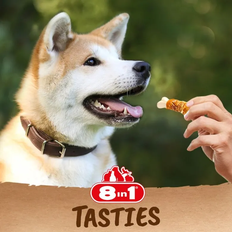 8in1 Tasties Calcium Bones kana