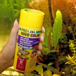 JBL ProNovo Color Grano M