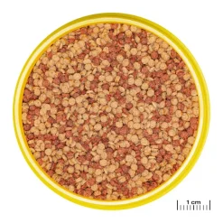 JBL ProNovo Color Grano M
