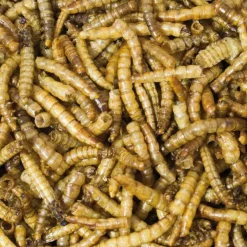 JR Farm jauhomadot, erityisen runsaasti proteiinia
