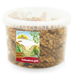 JR Farm ämpäri keltaista tähkähirssiä