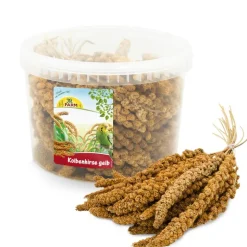 JR Farm ämpäri keltaista tähkähirssiä