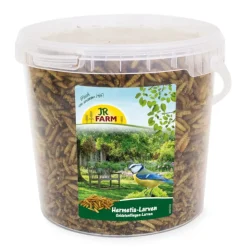 JR Farm mustasotilaskärpäsen toukkia ämpärissä