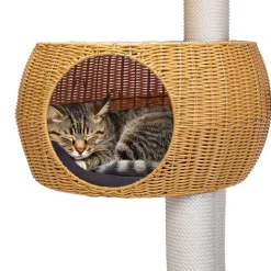 Karlie Outdoor III -raapimispuu