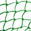 Kerbl-heinäverkko, pienisilmäinen