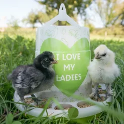 Kerbl Pet "Ladies" -ruokinta-automaatti kanoille