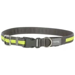 Kerbl Pet Light & Reflex valaistu kaulapanta
