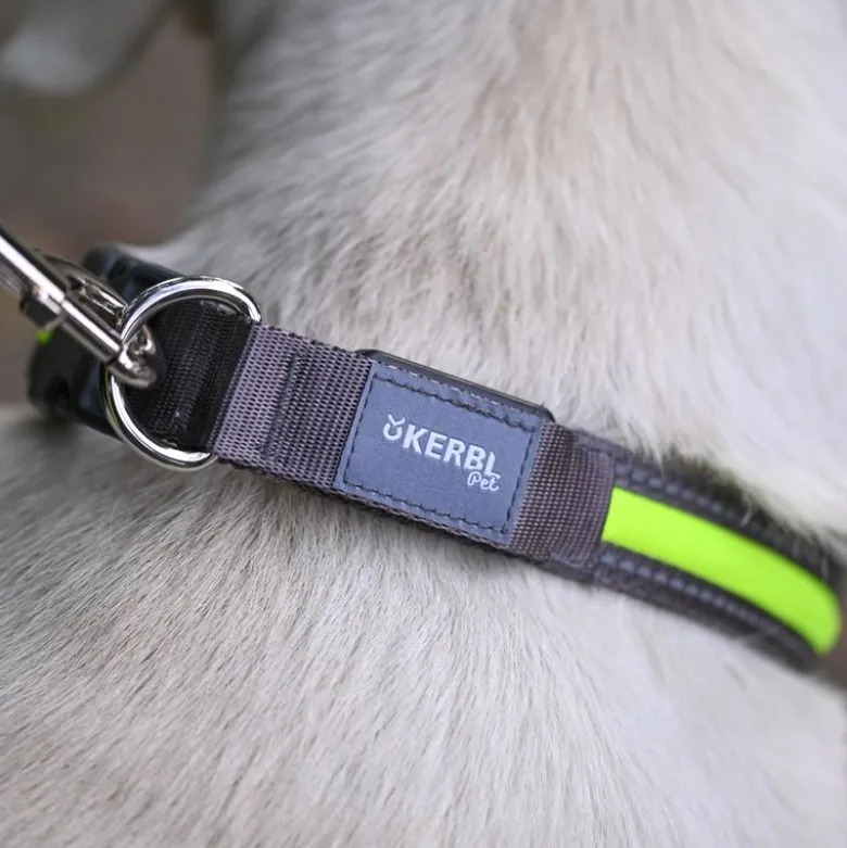 Kerbl Pet Light & Reflex valaistu kaulapanta