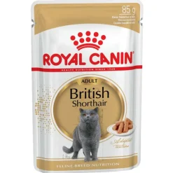 2 kg Royal Canin + 12 x 85 g Royal Canin kastikkeessa