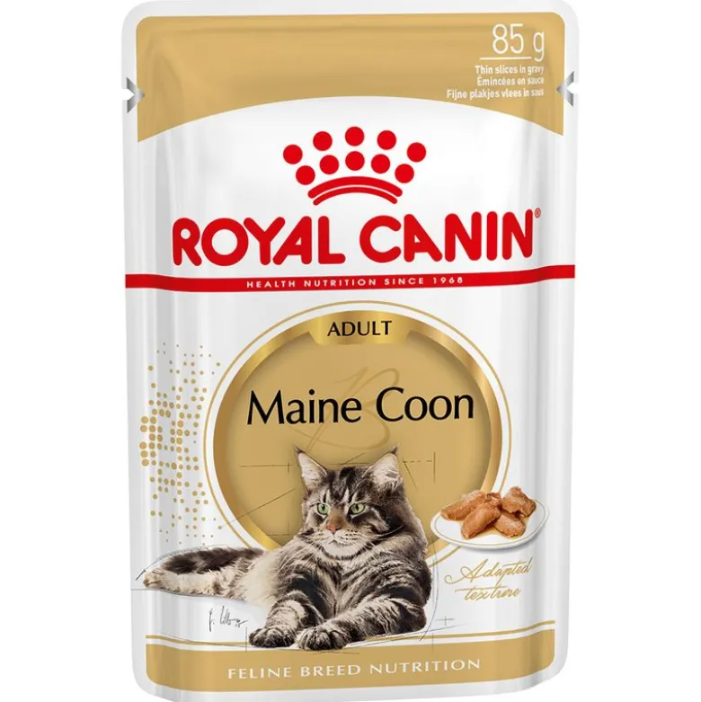 2 kg Royal Canin + 12 x 85 g Royal Canin kastikkeessa